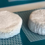 Danish Startup Leverages Dairy Industry Know-How To Make Realistic Vegan Cheese